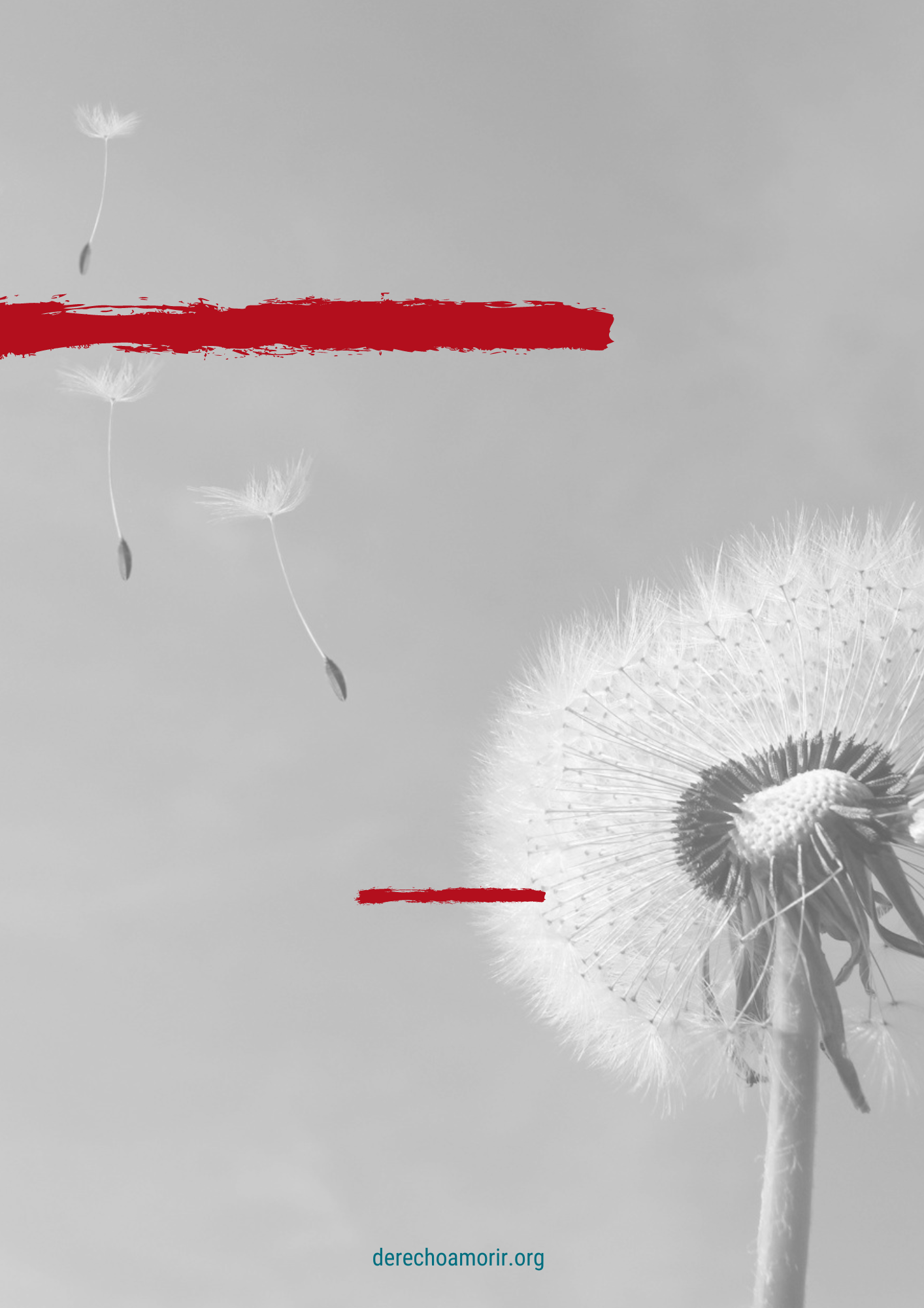 Plantilla en blanco estilo diente_de_leon