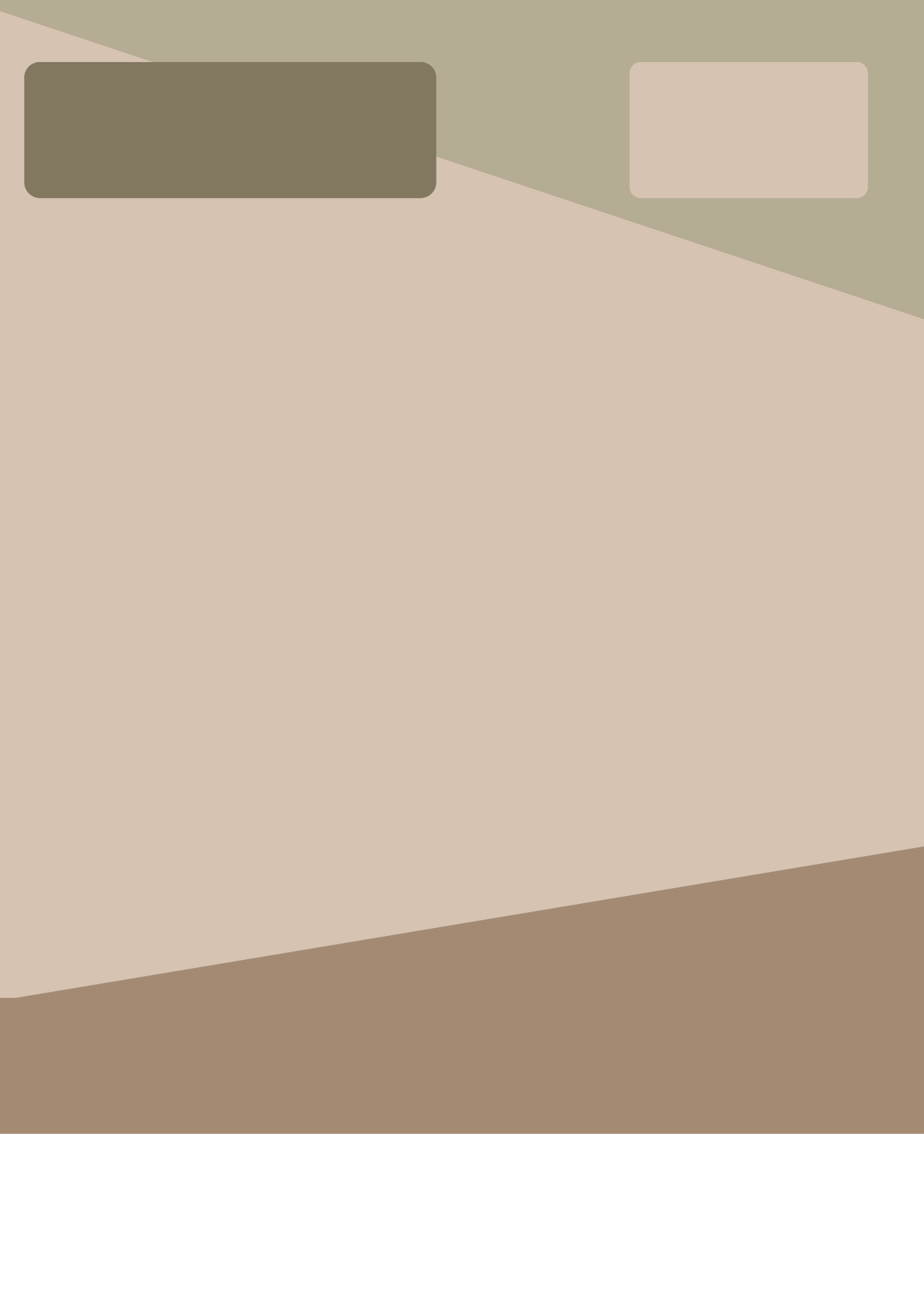 Plantilla en blanco estilo marroncito